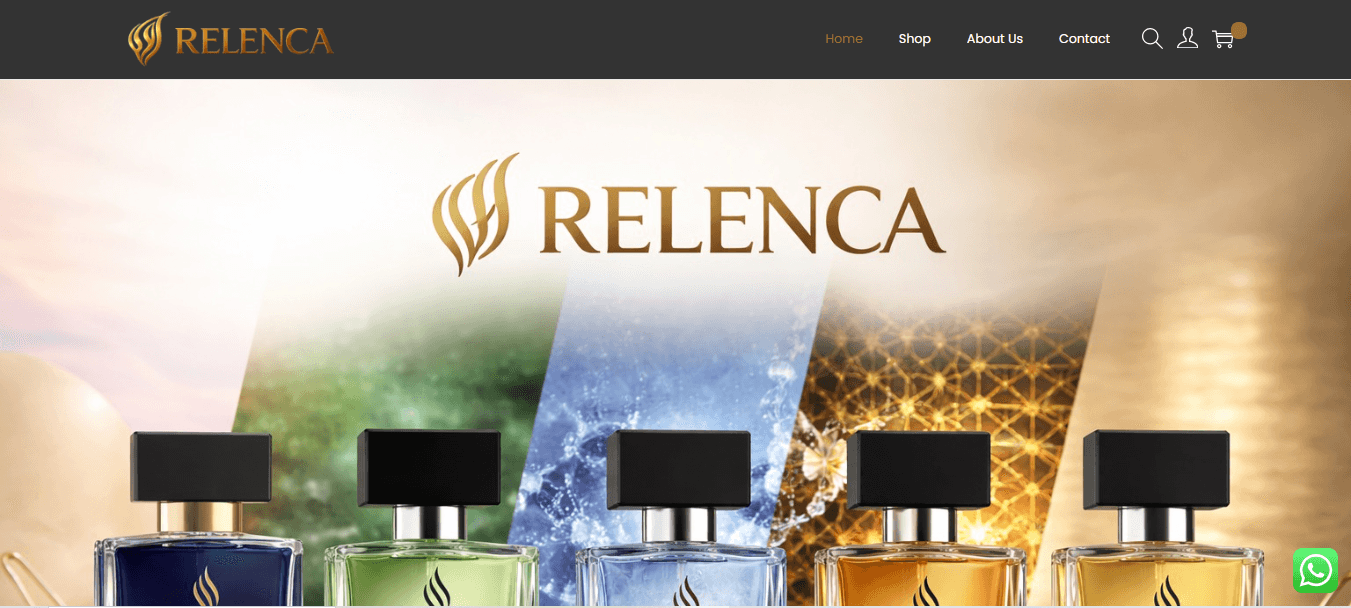Website 5